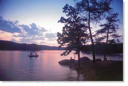 Atlanta Real Estate,Homes In Atlanta,relocating to Atlanta,buying a home in Atlanta,new homes in Atlanta,estate homes in Atlanta,cobb,marietta,vinings,smyrna,mableton,fulton,north fulton,alpharetta,roswell,sandy springs,cherokee,woodstock,canton,gwinnett,duluth,suwanee